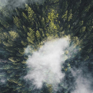 Aerial Photography & Video Course